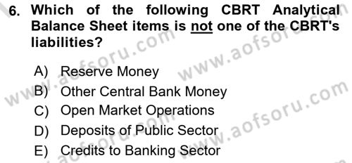 Monetary Theory and Policy Dersi 2024 - 2025 Yılı (Final) Dönem Sonu Sınav Soruları 6. Soru