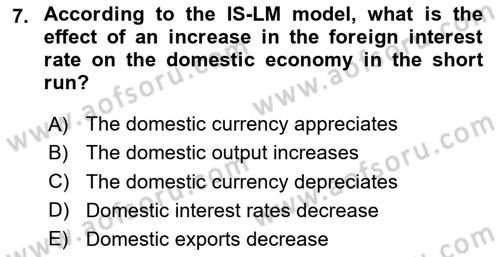 Monetary Theory and Policy Dersi 2024 - 2025 Yılı (Final) Dönem Sonu Sınav Soruları 7. Soru