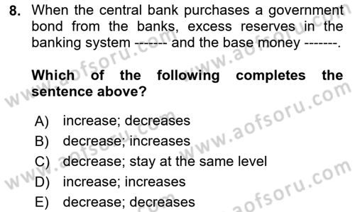 Monetary Theory and Policy Dersi 2024 - 2025 Yılı (Final) Dönem Sonu Sınav Soruları 8. Soru