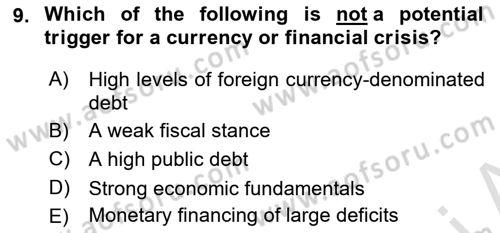 Monetary Theory and Policy Dersi 2024 - 2025 Yılı (Final) Dönem Sonu Sınav Soruları 9. Soru