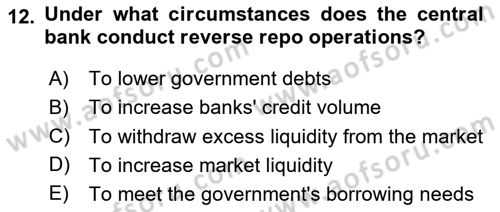 Monetary Theory and Policy Dersi 2024 - 2025 Yılı Yaz Okulu Sınav Soruları 12. Soru