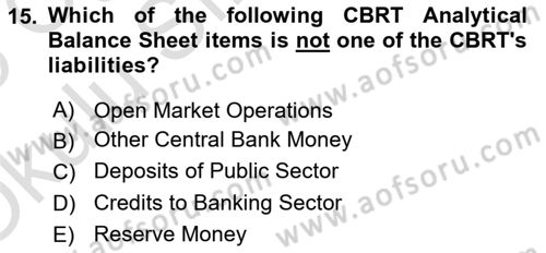 Monetary Theory and Policy Dersi 2024 - 2025 Yılı Yaz Okulu Sınav Soruları 15. Soru