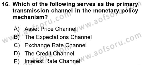 Monetary Theory and Policy Dersi 2024 - 2025 Yılı Yaz Okulu Sınav Soruları 16. Soru
