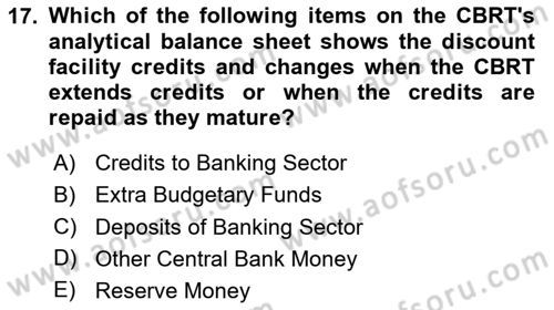 Monetary Theory and Policy Dersi 2024 - 2025 Yılı Yaz Okulu Sınav Soruları 17. Soru