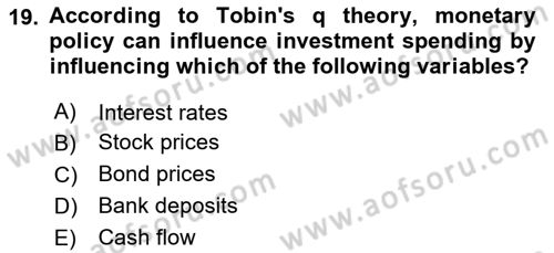 Monetary Theory and Policy Dersi 2024 - 2025 Yılı Yaz Okulu Sınav Soruları 19. Soru