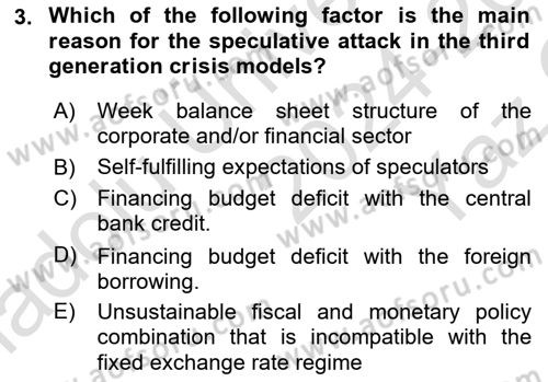 Monetary Theory and Policy Dersi 2024 - 2025 Yılı Yaz Okulu Sınav Soruları 3. Soru