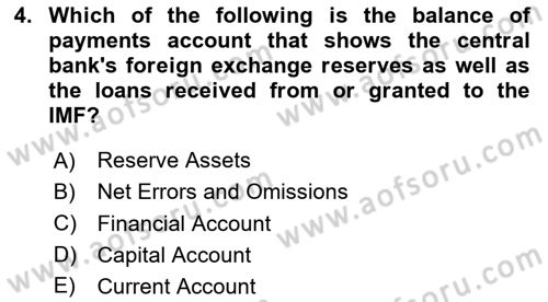 Monetary Theory and Policy Dersi 2024 - 2025 Yılı Yaz Okulu Sınav Soruları 4. Soru