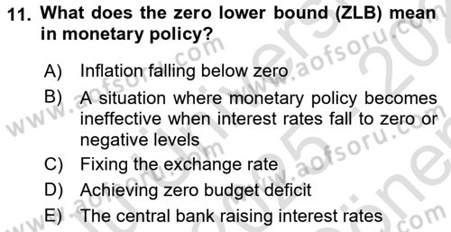 Monetary Theory and Policy Dersi 2025 - 2026 Yılı (Final) Dönem Sonu Sınav Soruları 11. Soru