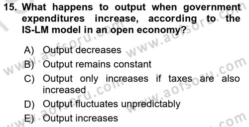Monetary Theory and Policy Dersi 2025 - 2026 Yılı (Final) Dönem Sonu Sınav Soruları 15. Soru