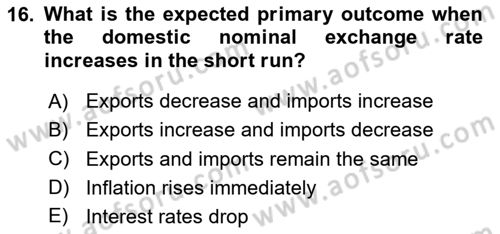 Monetary Theory and Policy Dersi 2025 - 2026 Yılı (Final) Dönem Sonu Sınav Soruları 16. Soru