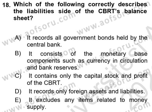 Monetary Theory and Policy Dersi 2025 - 2026 Yılı (Final) Dönem Sonu Sınav Soruları 18. Soru