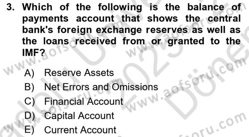 Monetary Theory and Policy Dersi 2025 - 2026 Yılı (Final) Dönem Sonu Sınav Soruları 3. Soru