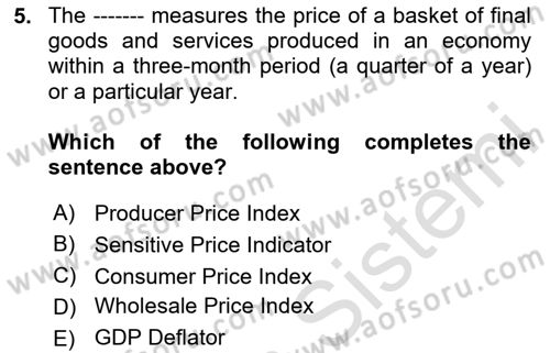 Monetary Theory and Policy Dersi 2025 - 2026 Yılı (Final) Dönem Sonu Sınav Soruları 5. Soru