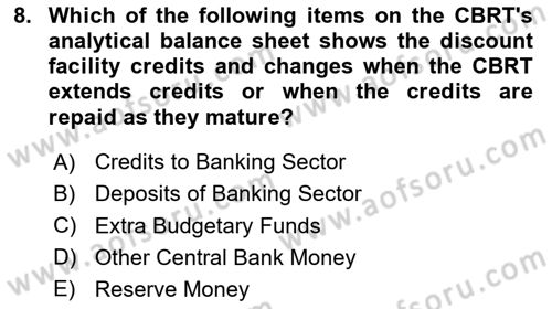 Monetary Theory and Policy Dersi 2025 - 2026 Yılı (Final) Dönem Sonu Sınav Soruları 8. Soru