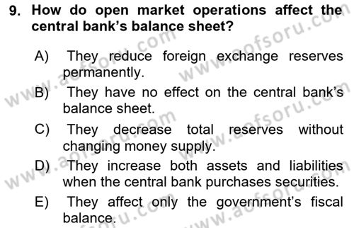 Monetary Theory and Policy Dersi 2025 - 2026 Yılı (Final) Dönem Sonu Sınav Soruları 9. Soru