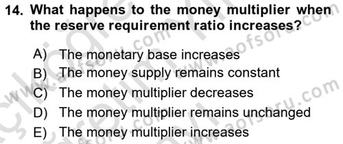 Monetary Theory and Policy Dersi 2025 - 2026 Yılı Yaz Okulu Sınav Soruları 14. Soru