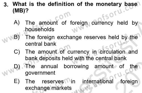Monetary Theory and Policy Dersi 2025 - 2026 Yılı Yaz Okulu Sınav Soruları 3. Soru
