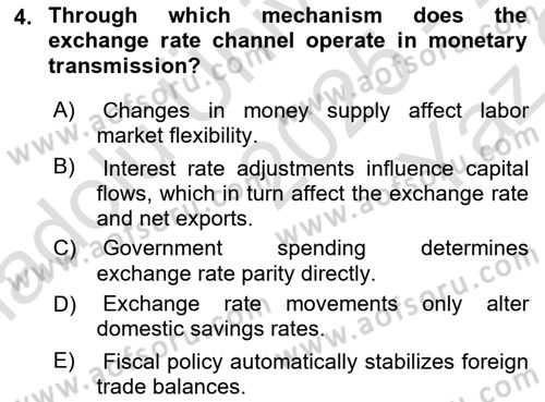 Monetary Theory and Policy Dersi 2025 - 2026 Yılı Yaz Okulu Sınav Soruları 4. Soru