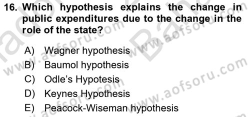 Public Finance Dersi 2023 - 2024 Yılı (Vize) Ara Sınav Soruları 16. Soru