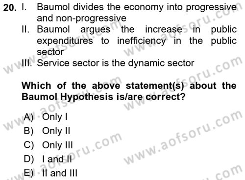 Public Finance Dersi 2023 - 2024 Yılı (Vize) Ara Sınav Soruları 20. Soru