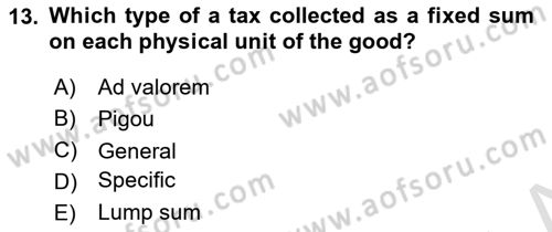 Public Finance Dersi 2023 - 2024 Yılı Yaz Okulu Sınav Soruları 13. Soru