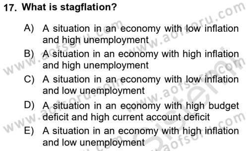 Public Finance Dersi 2023 - 2024 Yılı Yaz Okulu Sınav Soruları 17. Soru