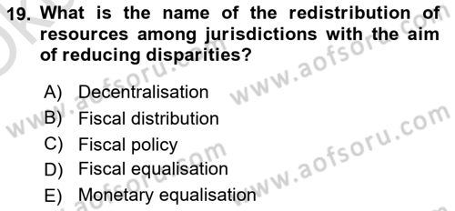 Public Finance Dersi 2023 - 2024 Yılı Yaz Okulu Sınav Soruları 19. Soru