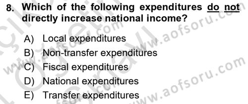 Public Finance Dersi 2023 - 2024 Yılı Yaz Okulu Sınav Soruları 8. Soru