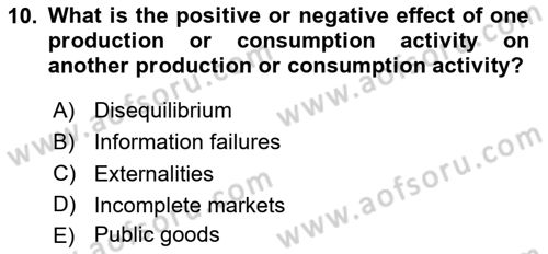 Public Finance Dersi 2024 - 2025 Yılı (Vize) Ara Sınav Soruları 10. Soru