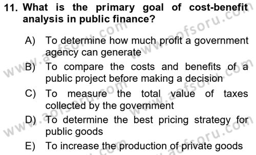 Public Finance Dersi 2024 - 2025 Yılı (Vize) Ara Sınav Soruları 11. Soru