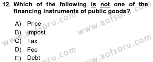 Public Finance Dersi 2024 - 2025 Yılı (Vize) Ara Sınav Soruları 12. Soru
