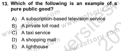 Public Finance Dersi 2024 - 2025 Yılı (Vize) Ara Sınav Soruları 13. Soru