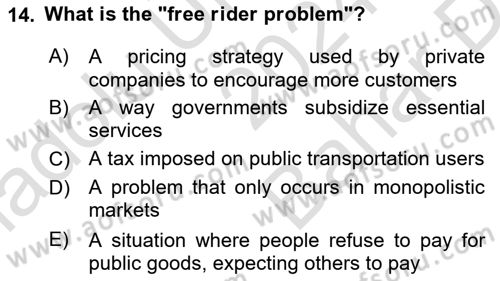 Public Finance Dersi 2024 - 2025 Yılı (Vize) Ara Sınav Soruları 14. Soru
