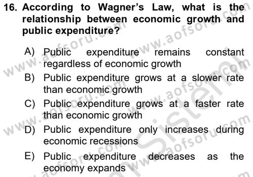 Public Finance Dersi 2024 - 2025 Yılı (Vize) Ara Sınav Soruları 16. Soru