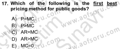 Public Finance Dersi 2024 - 2025 Yılı (Vize) Ara Sınav Soruları 17. Soru