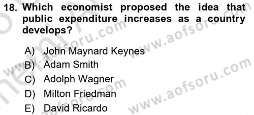 Public Finance Dersi 2024 - 2025 Yılı (Vize) Ara Sınav Soruları 18. Soru