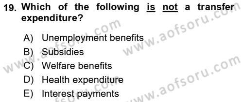 Public Finance Dersi 2024 - 2025 Yılı (Vize) Ara Sınav Soruları 19. Soru