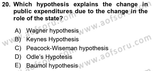 Public Finance Dersi 2024 - 2025 Yılı (Vize) Ara Sınav Soruları 20. Soru