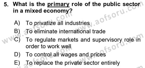 Public Finance Dersi 2024 - 2025 Yılı (Vize) Ara Sınav Soruları 5. Soru