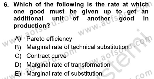 Public Finance Dersi 2024 - 2025 Yılı (Vize) Ara Sınav Soruları 6. Soru