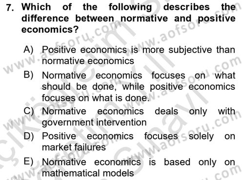 Public Finance Dersi 2024 - 2025 Yılı (Vize) Ara Sınav Soruları 7. Soru