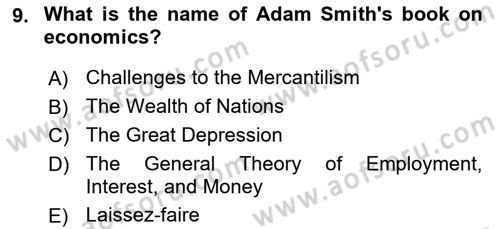 Public Finance Dersi 2024 - 2025 Yılı (Vize) Ara Sınav Soruları 9. Soru