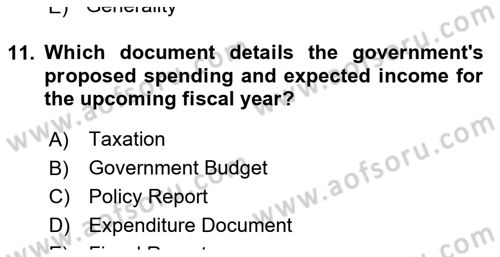 Public Finance Dersi 2024 - 2025 Yılı Yaz Okulu Sınav Soruları 11. Soru