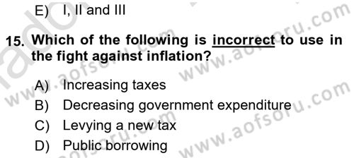 Public Finance Dersi 2024 - 2025 Yılı Yaz Okulu Sınav Soruları 15. Soru