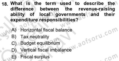 Public Finance Dersi 2024 - 2025 Yılı Yaz Okulu Sınav Soruları 18. Soru