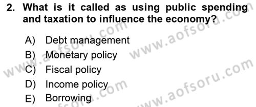 Public Finance Dersi 2024 - 2025 Yılı Yaz Okulu Sınav Soruları 2. Soru