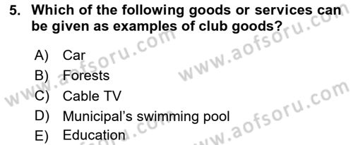 Public Finance Dersi 2024 - 2025 Yılı Yaz Okulu Sınav Soruları 5. Soru