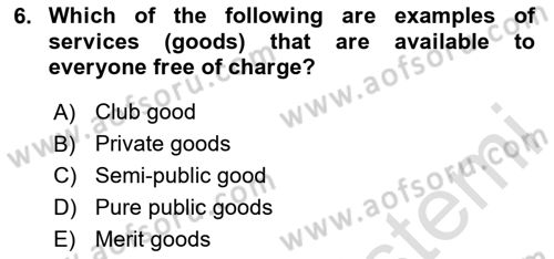 Public Finance Dersi 2024 - 2025 Yılı Yaz Okulu Sınav Soruları 6. Soru