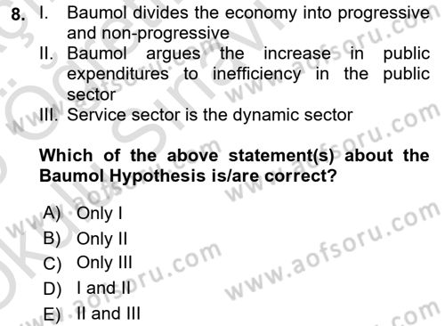 Public Finance Dersi 2024 - 2025 Yılı Yaz Okulu Sınav Soruları 8. Soru