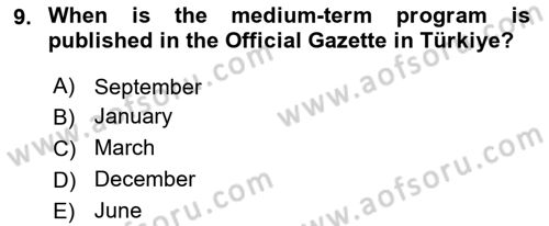 Public Finance Dersi 2024 - 2025 Yılı Yaz Okulu Sınav Soruları 9. Soru
